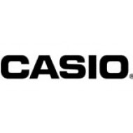 CASIO (10)